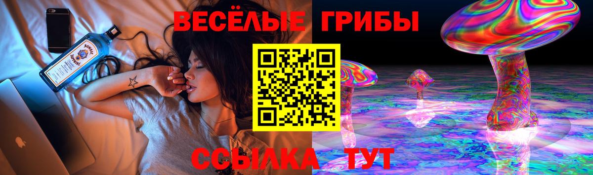 Галлюциногенные грибы прущие грибы  Вход с VPN  Нефтекумск 