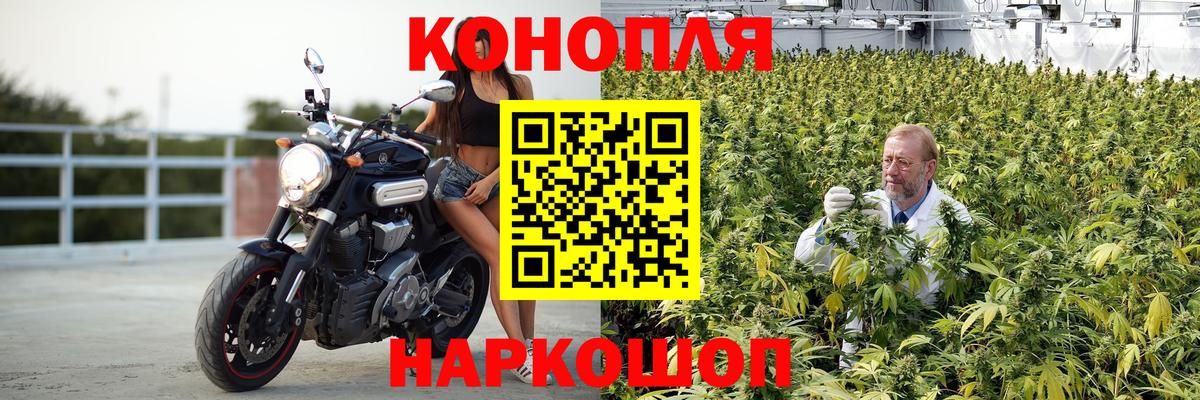 Нефтекумск  Бошки марихуана тримм  Вход с VPN  Канабис MAZAR 